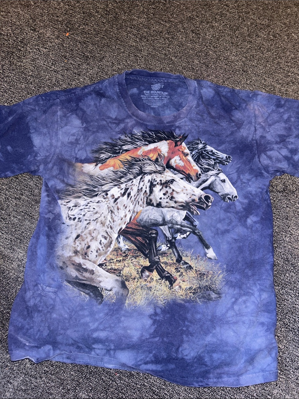 The Mountain Blue Tie-Dye Running Horses Tee